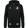 MSV Handball Dresden Hoodie Herren