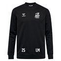 MSV Handball Dresden Sweatshirt Kinder