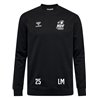 MSV Handball Dresden Sweatshirt Kinder