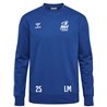 MSV Handball Dresden Sweatshirt Kinder