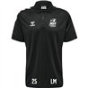 MSV Handball Dresden Poloshirt Polyester Herren
