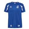 MSV Handball Dresden Trainingsshirt Polyester Herren